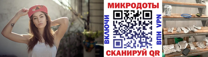 сайты даркнета телеграм  Мосальск  Галлюциногенные грибы Psilocybe 