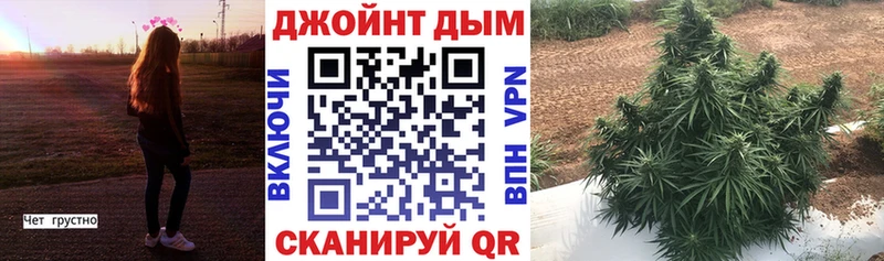 Бошки марихуана ГИДРОПОН  купить наркоту  это какой сайт  Мосальск 